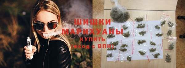 2c-b Новозыбков