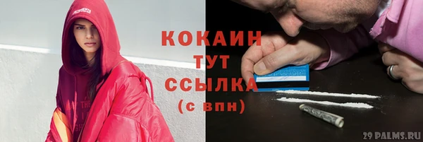 2c-b Новозыбков