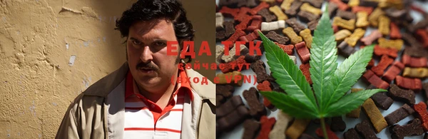 гидра Белая Холуница