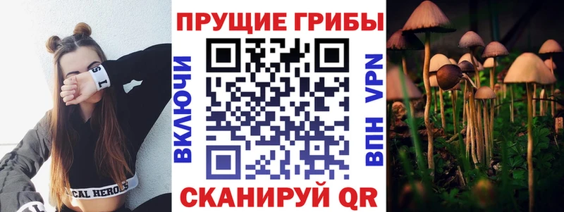 Псилоцибиновые грибы прущие грибы Кудымкар