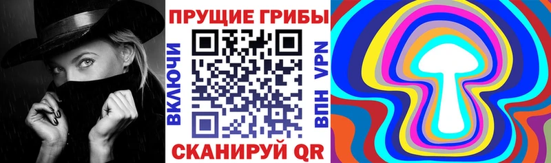 мега   Кудымкар  Галлюциногенные грибы ЛСД 