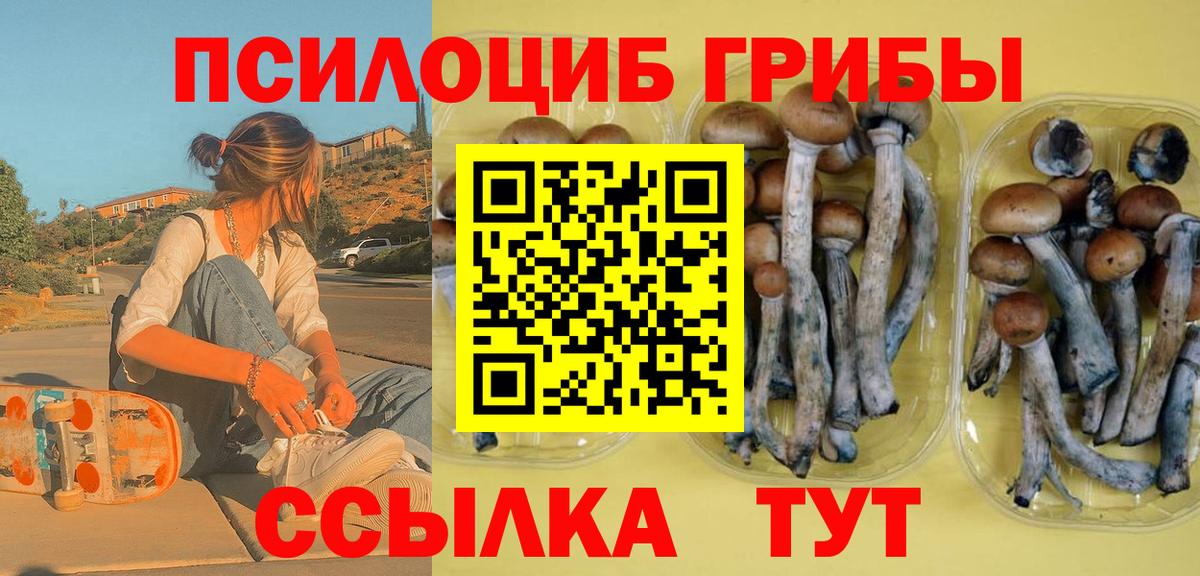 Кудымкар  дарнет шоп  Вход с VPN  Псилоцибиновые грибы MAGIC MUSHROOMS 